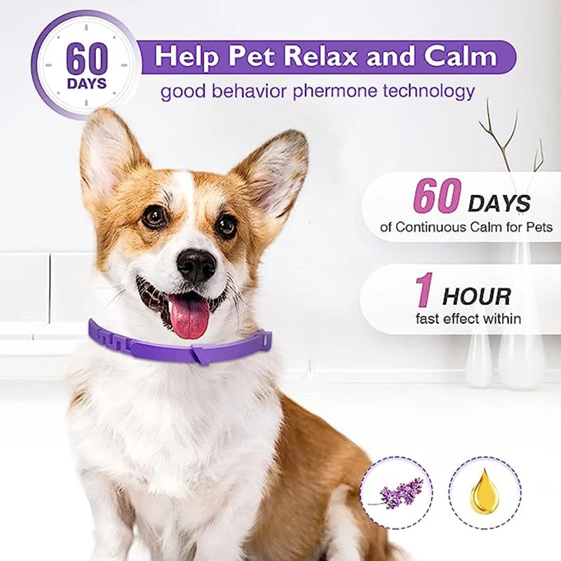 New 38/62CM Pet Calming Collar Cat And Dog Relieve Anxiety Protection Retractable Collars For Puppy Kitten Large Dogs Accessorie