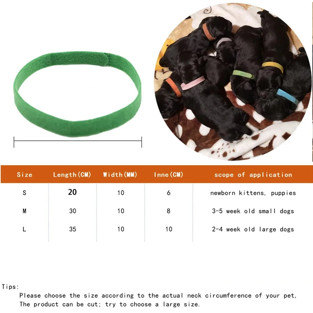 12pcs Pet Collars Dog Cat Hook and Loop Identification Collar Kitten Puppy Id Classification Dog Accessories for Small Dogs