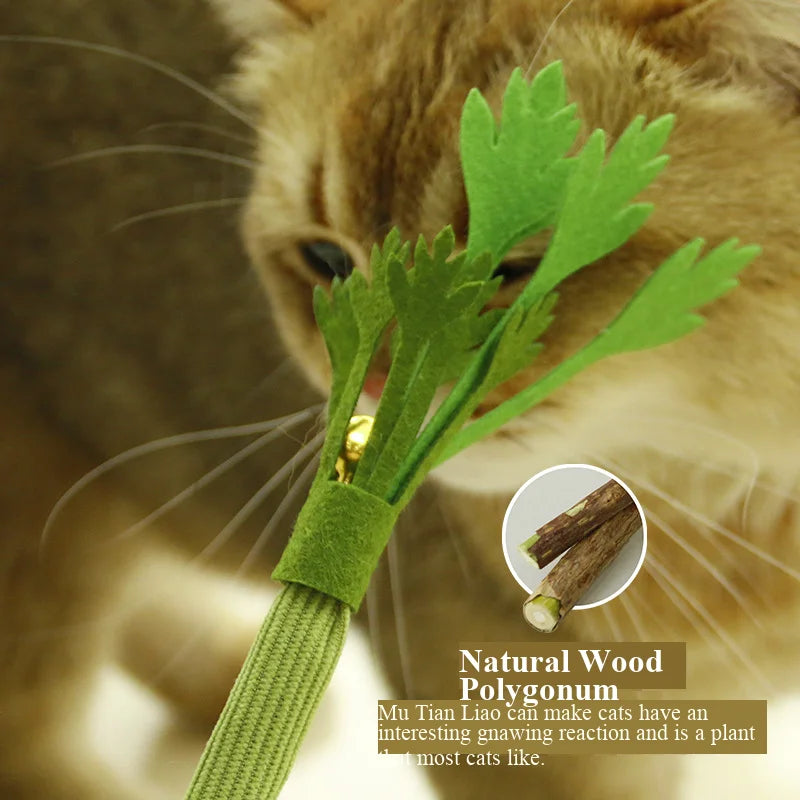 Cat Chew Toys Catnip Cat Teeth Cleaning Toy Interactive Self Playing Catnip Molar Stick Toys Bite Squeaky Cat Toy