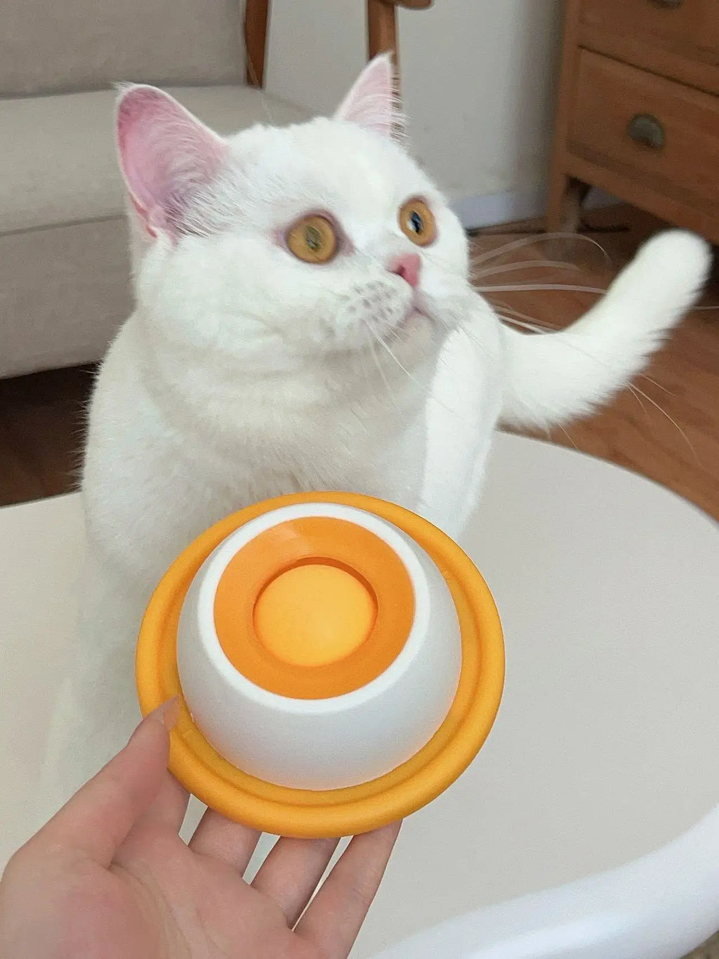 Anti-Spill Slow Food Licking Toy, Interactive Distracting Entertainment Toy, Self-amusing Feeding Tool for Kittens Puppies