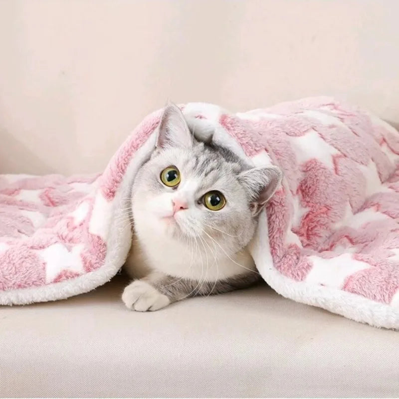 Flannel Pet Mat Dog Bed Cat Bed Thicken Sleeping Mat Dog Blanket Mat For Puppy Kitten Pet Dog Bed for Small Large Dogs Pet Rug