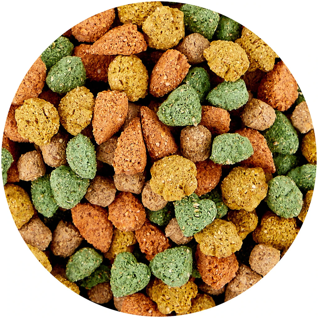 4-6Tph multi-purpose three-screw extrusion pet food making machine full production line dog cat fish food making machine