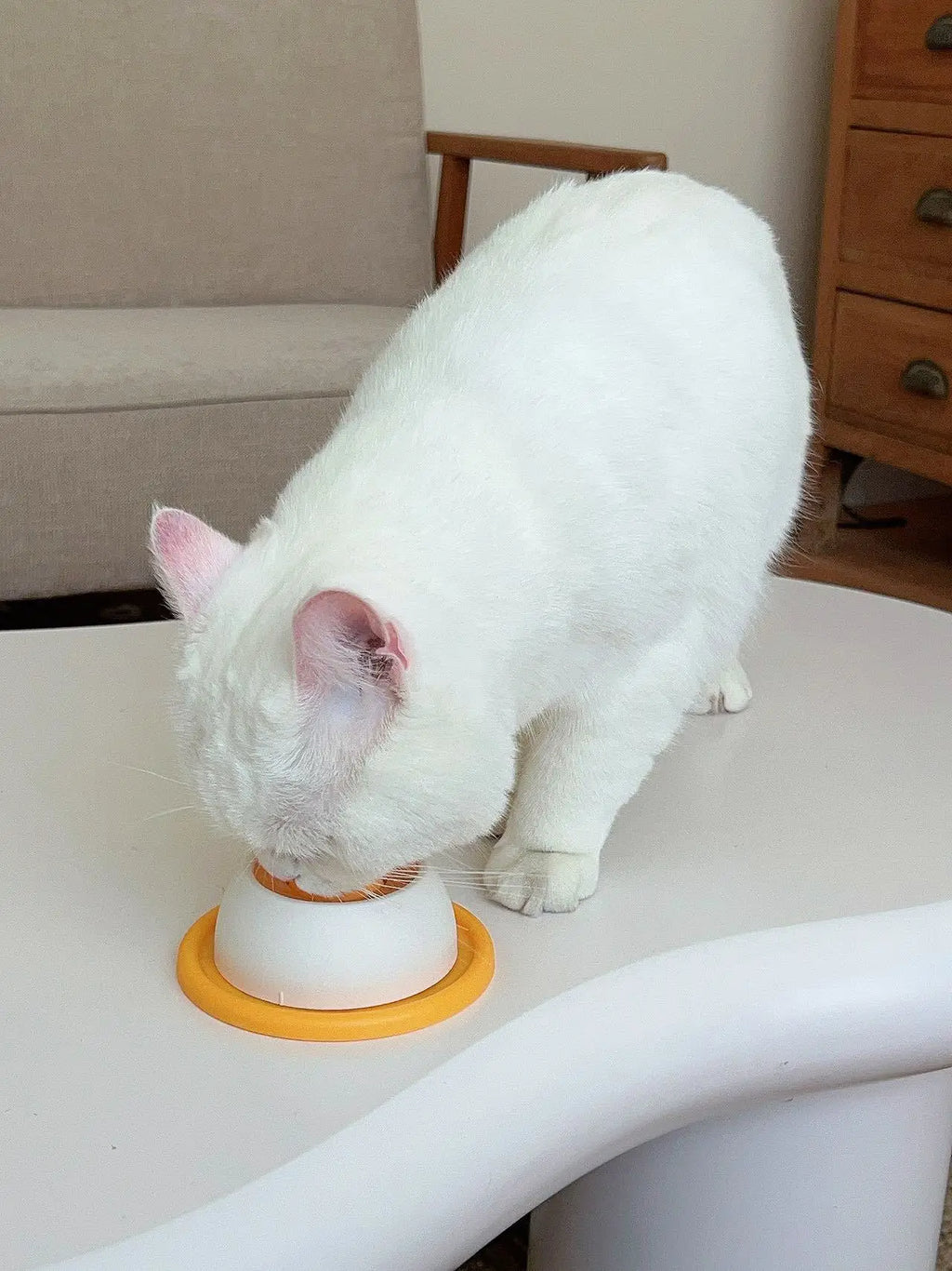 Anti-Spill Slow Food Licking Toy, Interactive Distracting Entertainment Toy, Self-amusing Feeding Tool for Kittens Puppies