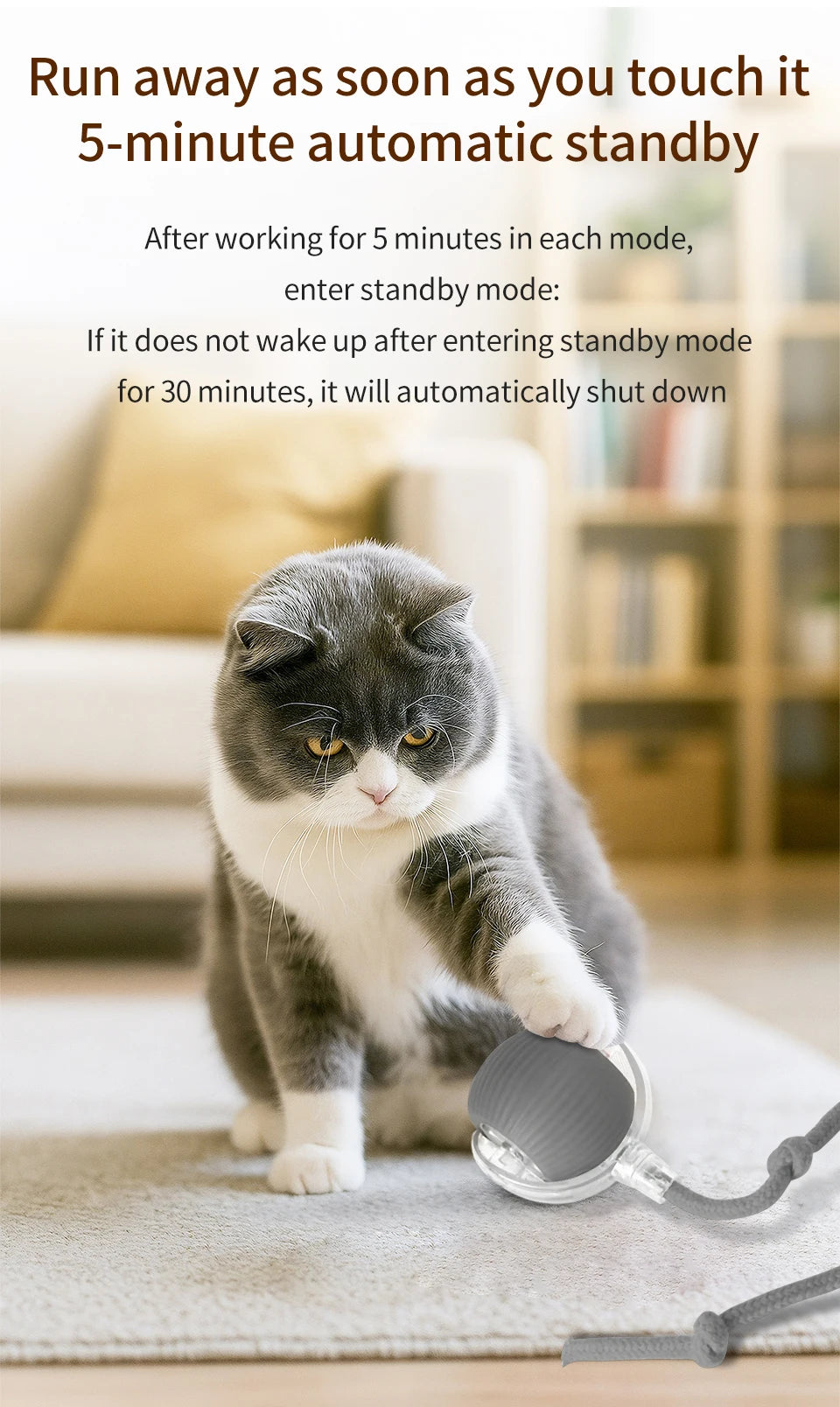 Cat and Dog Interactive Rolling Ball Toy Rechargeable Pet Electric Toy Teasing Cat Ball Teasing Dog Ball Automatic Rolling