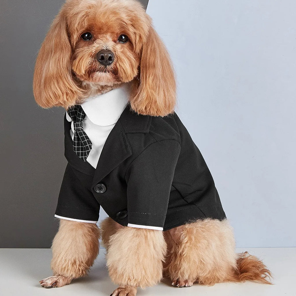 New Dog Tuxedo Fashion Classic Suit for Pets Teddy Bichon Formal Wear