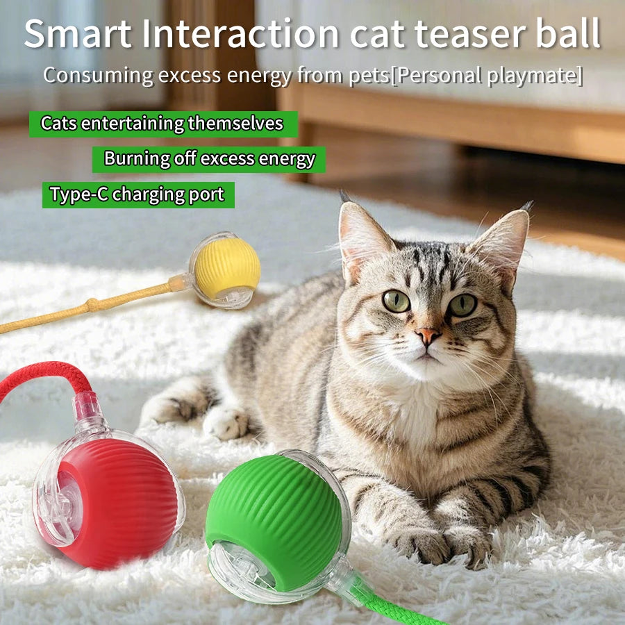 Cat and Dog Interactive Rolling Ball Toy Rechargeable Pet Electric Toy Teasing Cat Ball Teasing Dog Ball Automatic Rolling