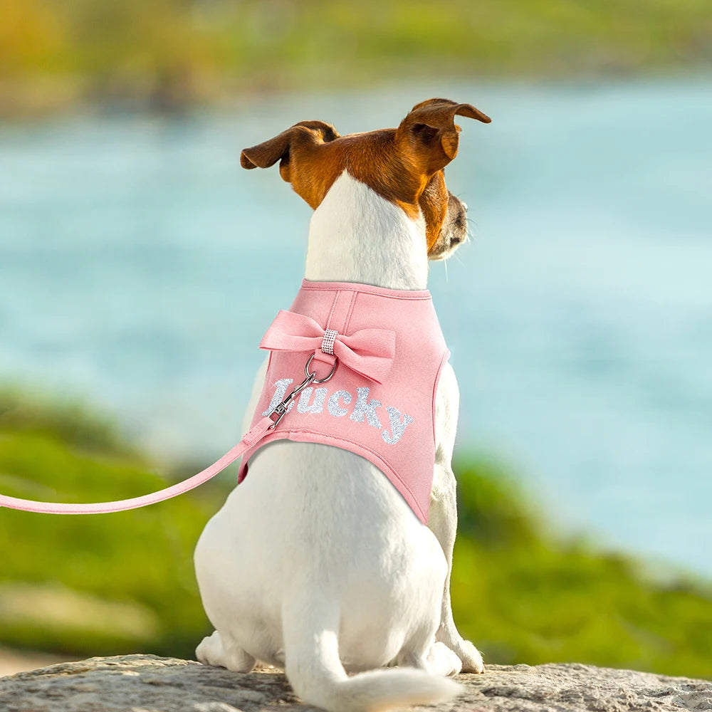 Personalized Dog Harness and Leash Set Free Print Name Pet Vest Harness Lead with Cute Bowtie for Small Medium Dogs Cats Pug