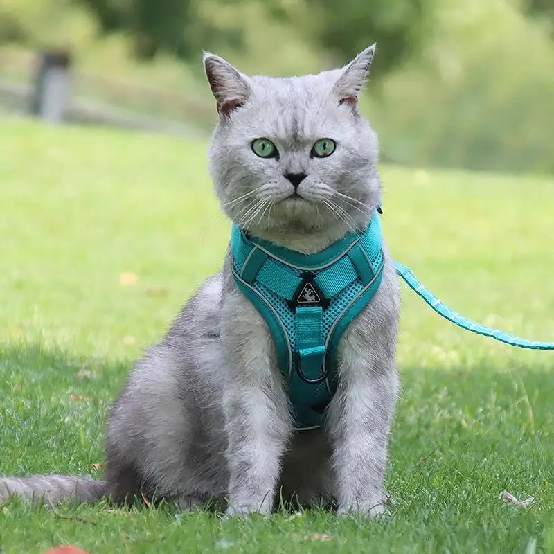 Cat Harness Vest Walking Lead Leash for Puppy Dogs Collar Polyester Adjustable Mesh Dog Harness for Small Medium Pet Accessories