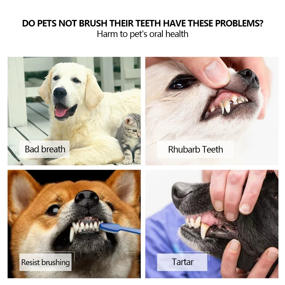 Three Sided Pet Toothbrush Three-Head Multi-angle Toothbrush Cleaning Dog Cat Brushes Bad Breath Teeth Care ToolS