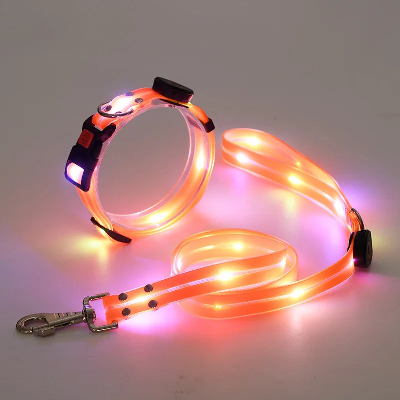 Pet light-up collar leash LED flashing collar USB charging dog walking pulling belt adjustable dog collar fashion pet supplies