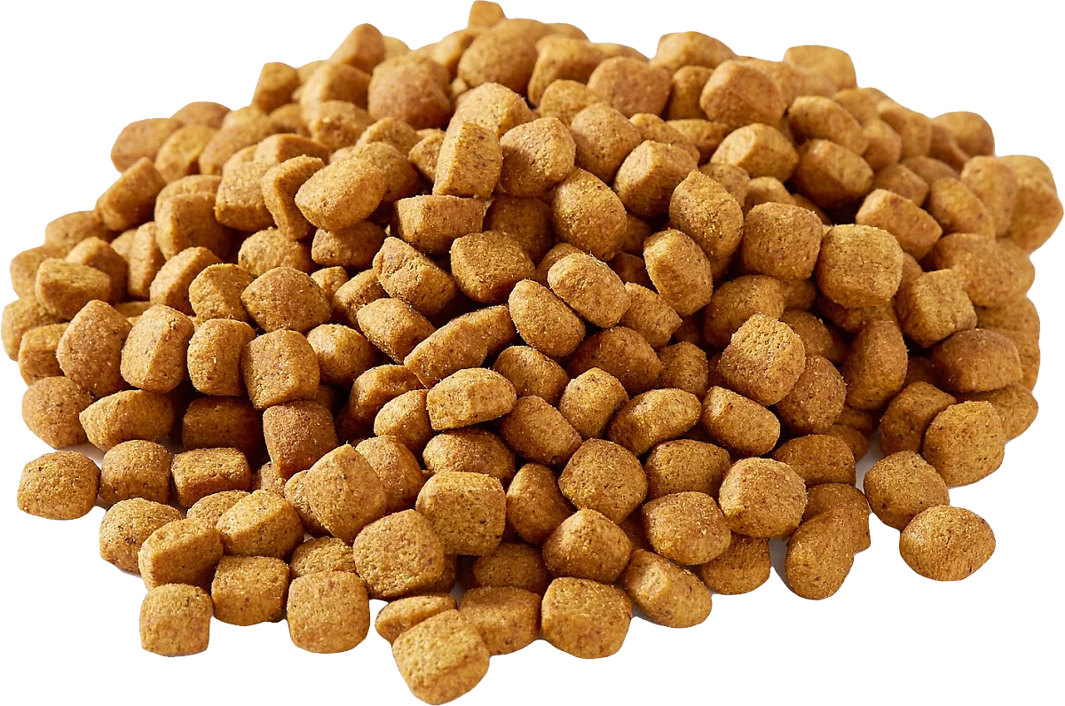 4-6Tph multi-purpose three-screw extrusion pet food making machine full production line dog cat fish food making machine