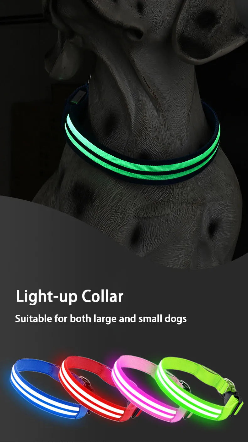 Light Up Dog Collar for Night Walk Color LED Glowing Pet Safety Collar Rechargeable Dog Necklace with Dog Harness Dog Leash Ring