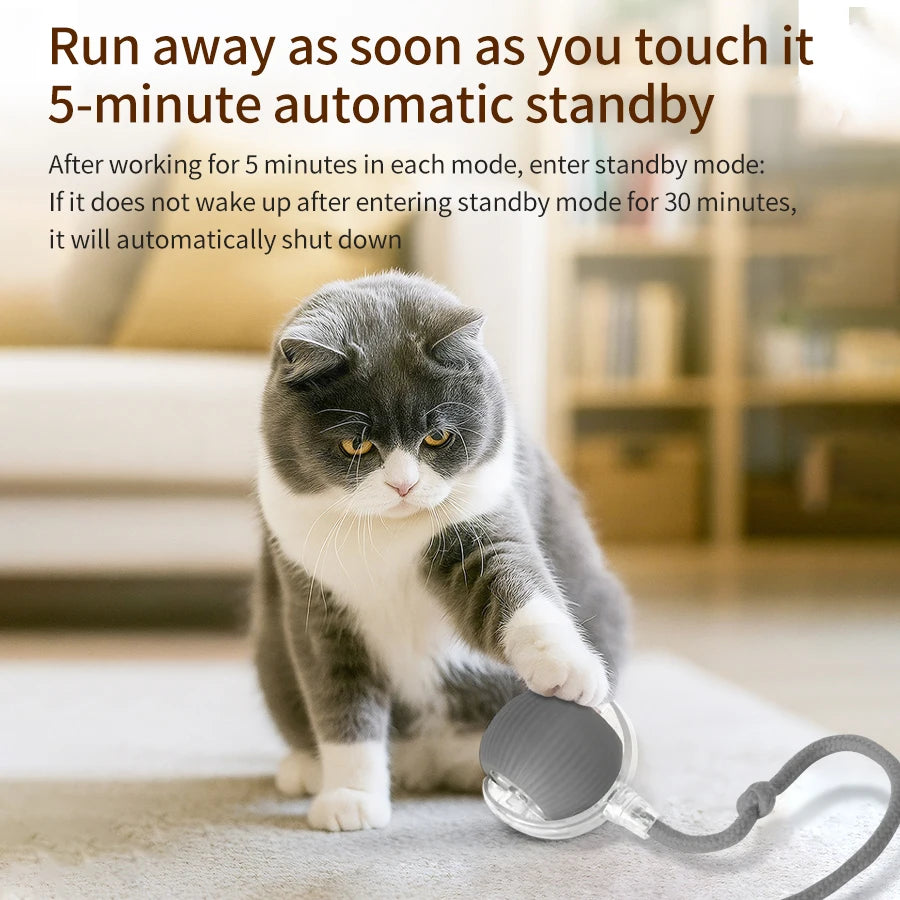 Cat and Dog Interactive Rolling Ball Toy Rechargeable Pet Electric Toy Teasing Cat Ball Teasing Dog Ball Automatic Rolling