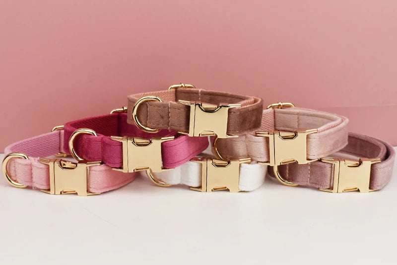 Velvet Collar Free Engrave Dog Collar Leash For Medium Big Pet Necklace Dog Accessories Dog Collars