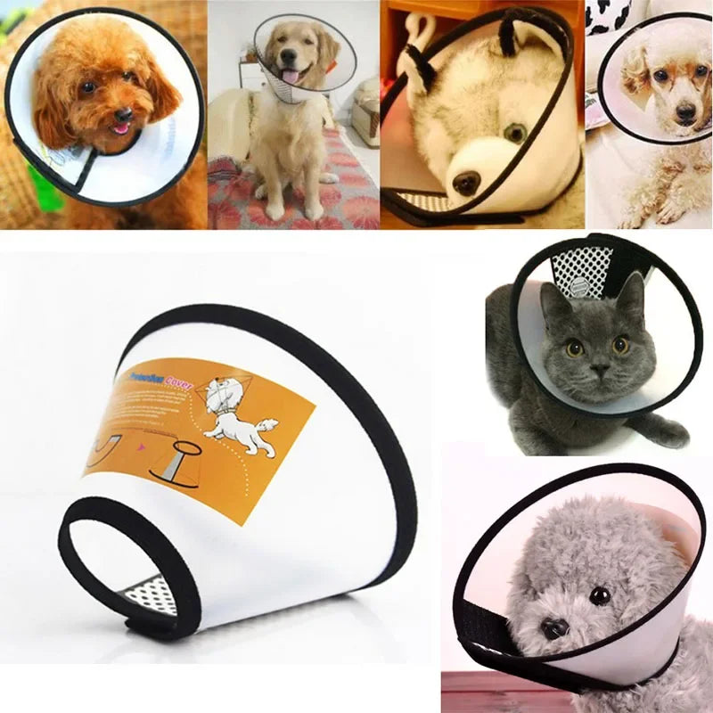 Prevent BiteTransparent Dog Cat Protection Cover Wound Healing Bath Grooming Cone Protective Pet Dog Medical Collar Dropshipping