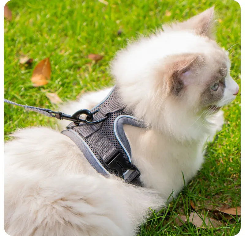 New No Pull Dog Harness and Leash Set Adjustable Pet Harness Vest for Small Dogs Cats Reflective Dog Chest Strap Lead Walking