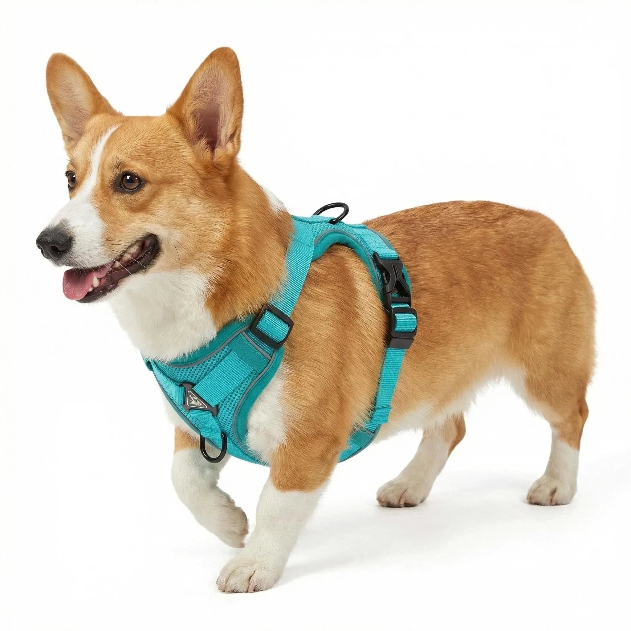 Cat Harness Vest Walking Lead Leash for Puppy Dogs Collar Polyester Adjustable Mesh Dog Harness for Small Medium Pet Accessories
