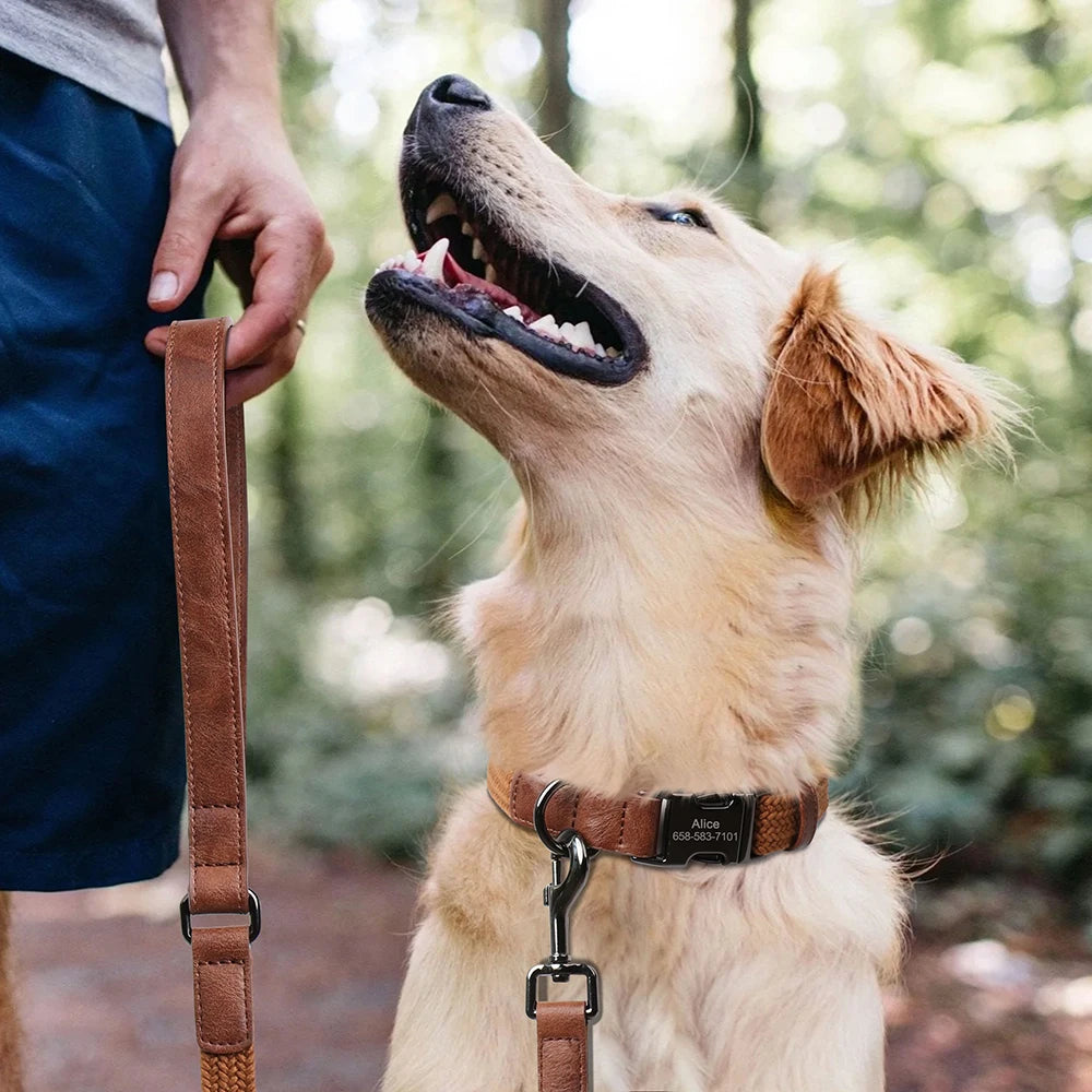 Personalized Dog Collar Leash Set Nylon Dog Collars With Walking Lead Rope Adjustable Pet Necklace for Small Large Dogs Durable