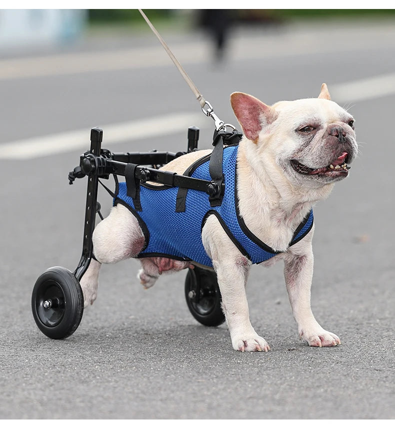 Pet Wheelchair Cart Adjustable Pet Mobility Aids with Wheels Disabled Cat Dog Rehabilitation Walking Mobility Aid Troll
