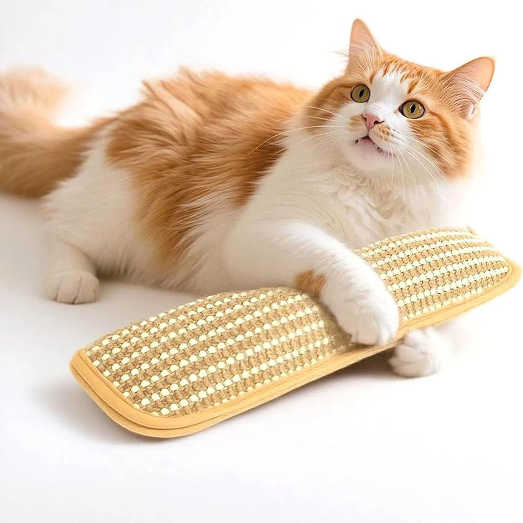 1pc Catnip Infused Cat Toy, Scratching Pad with Play Pillow, Attracts Cats To Scratch & Play, Durable Linen Mat for Kittens