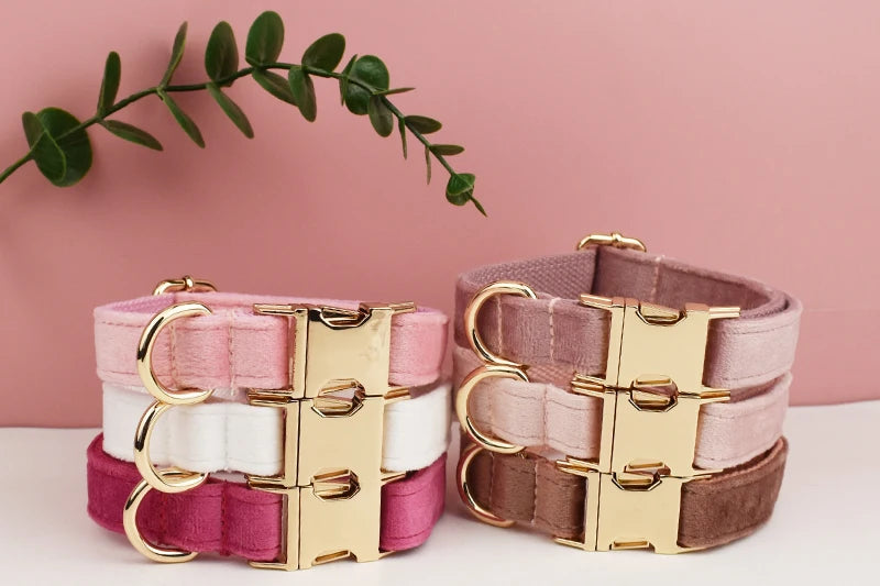 Velvet Collar Free Engrave Dog Collar Leash For Medium Big Pet Necklace Dog Accessories Dog Collars