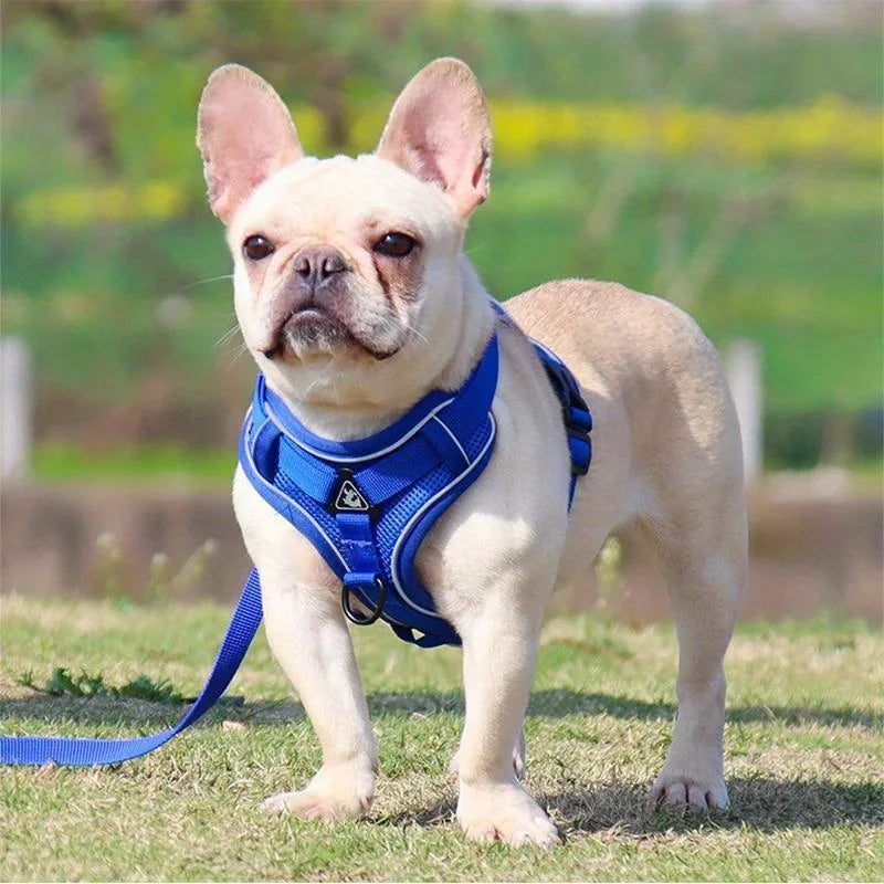 Cat Harness Vest Walking Lead Leash for Puppy Dogs Collar Polyester Adjustable Mesh Dog Harness for Small Medium Pet Accessories