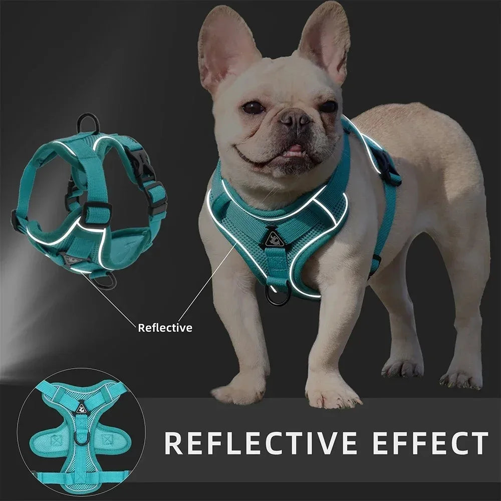 Cat Harness Vest Walking Lead Leash for Puppy Dogs Collar Polyester Adjustable Mesh Dog Harness for Small Medium Pet Accessories