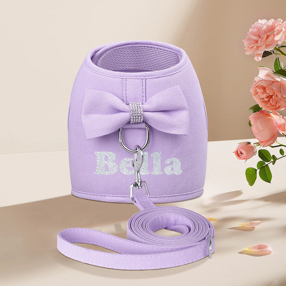 Personalized Dog Harness and Leash Set Free Print Name Pet Vest Harness Lead with Cute Bowtie for Small Medium Dogs Cats Pug