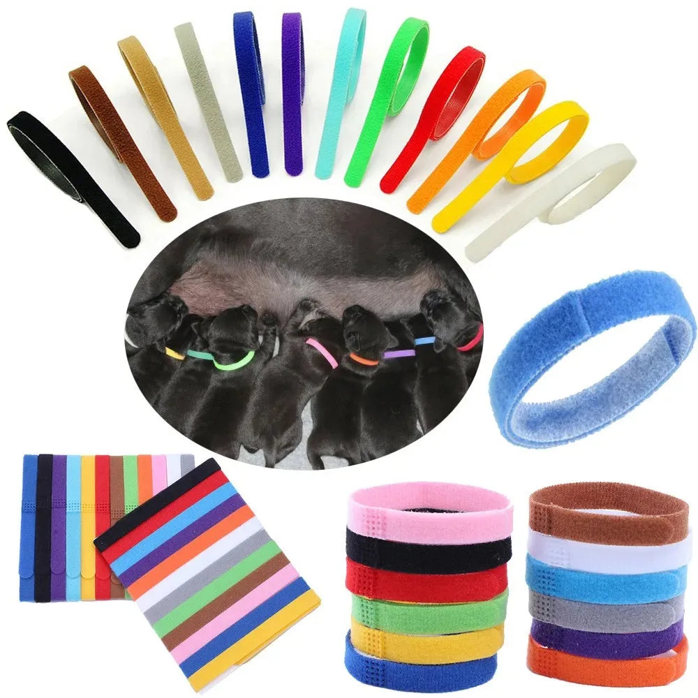 12pcs Pet Collars Dog Cat Hook and Loop Identification Collar Kitten Puppy Id Classification Dog Accessories for Small Dogs
