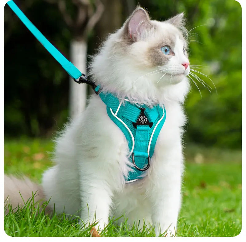 New No Pull Dog Harness and Leash Set Adjustable Pet Harness Vest for Small Dogs Cats Reflective Dog Chest Strap Lead Walking