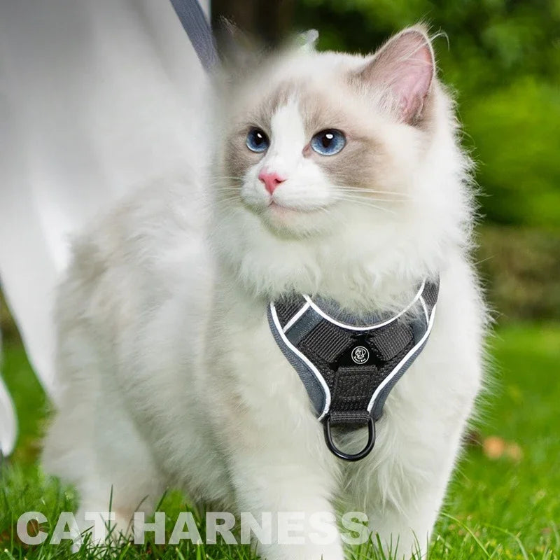 New No Pull Dog Harness and Leash Set Adjustable Pet Harness Vest for Small Dogs Cats Reflective Dog Chest Strap Lead Walking