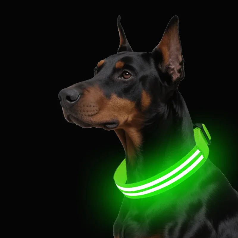 Light Up Dog Collar for Night Walk Color LED Glowing Pet Safety Collar Rechargeable Dog Necklace with Dog Harness Dog Leash Ring