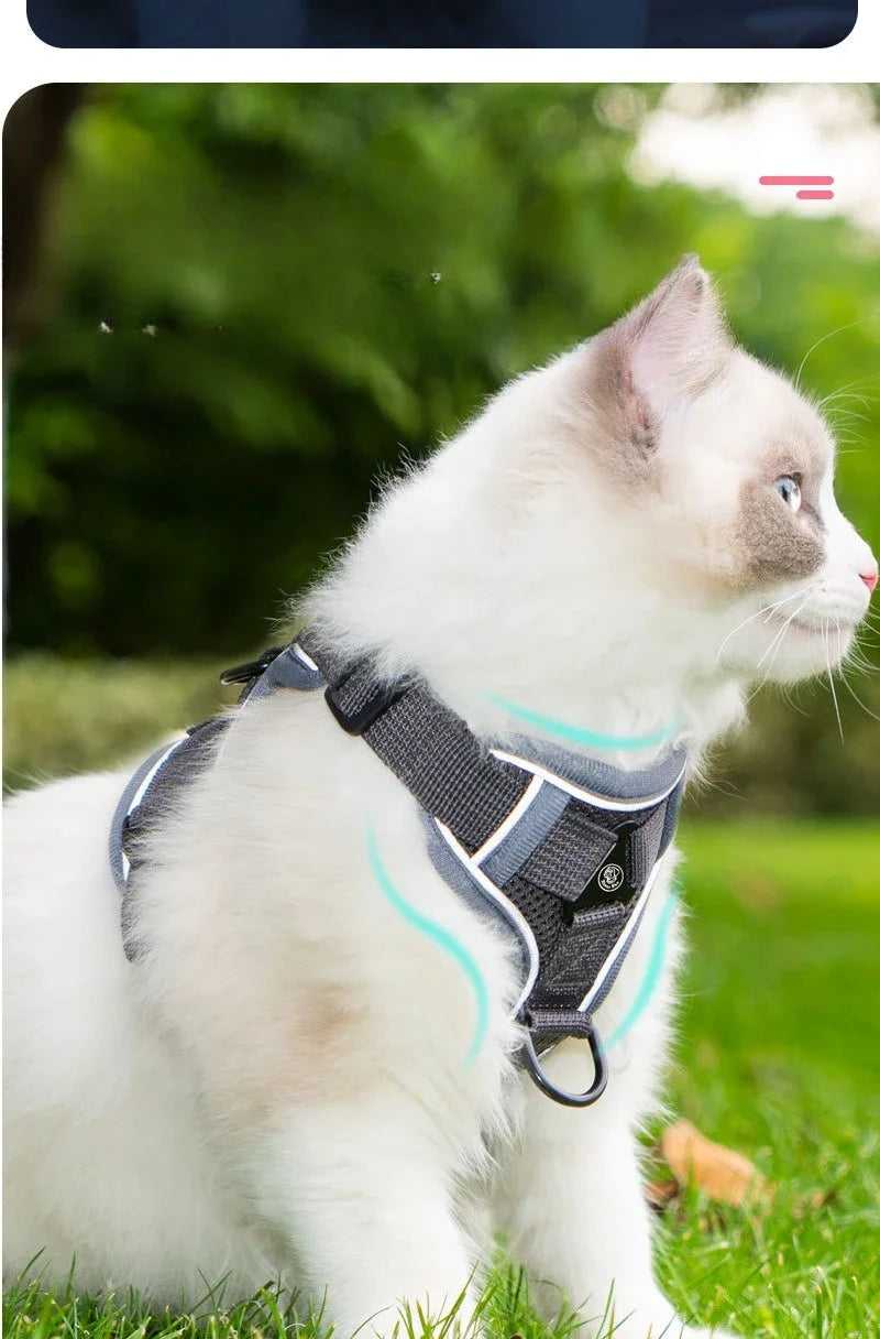 New No Pull Dog Harness and Leash Set Adjustable Pet Harness Vest for Small Dogs Cats Reflective Dog Chest Strap Lead Walking