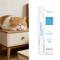 Pet Teeth Cleaning Toothbrush Pens Oral Solution Tartar Control Removing Bad Breath Small Cat And Dog Dental Care Toothbrush Pen