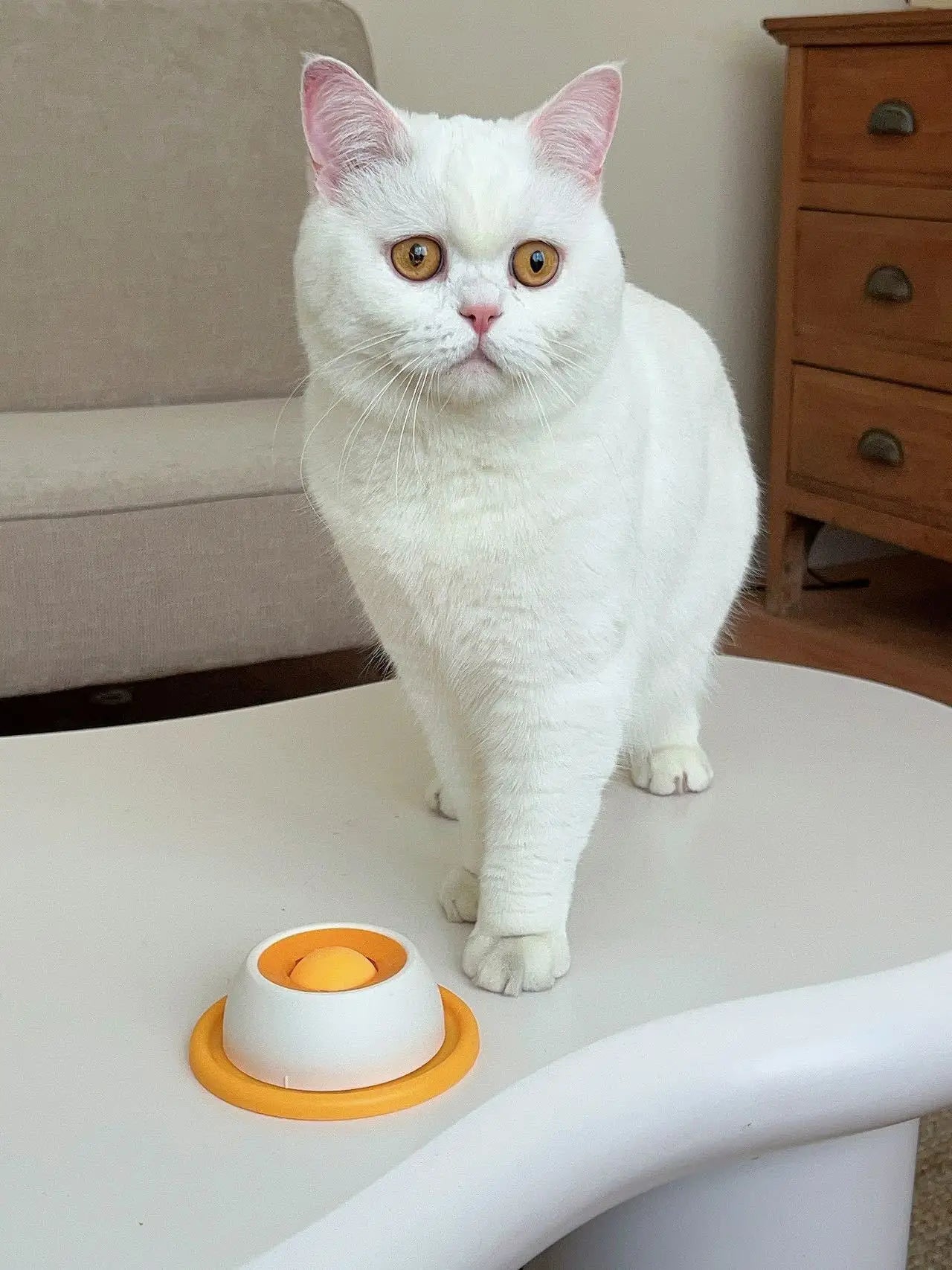 Anti-Spill Slow Food Licking Toy, Interactive Distracting Entertainment Toy, Self-amusing Feeding Tool for Kittens Puppies