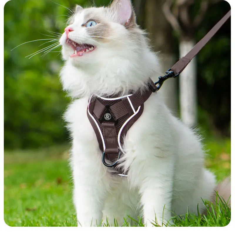 New No Pull Dog Harness and Leash Set Adjustable Pet Harness Vest for Small Dogs Cats Reflective Dog Chest Strap Lead Walking