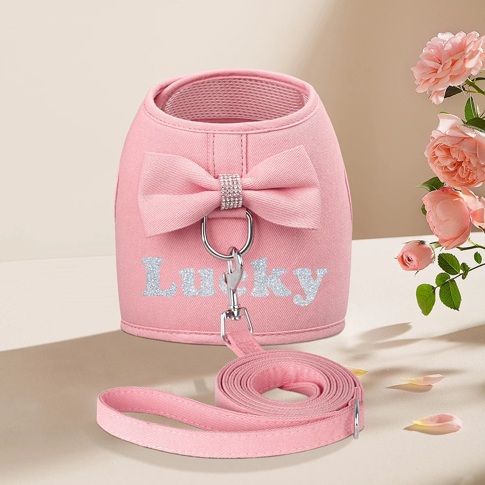 Personalized Dog Harness and Leash Set Free Print Name Pet Vest Harness Lead with Cute Bowtie for Small Medium Dogs Cats Pug