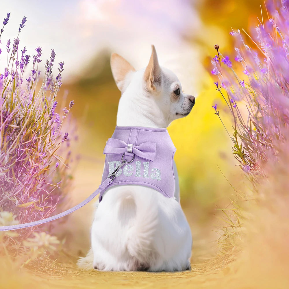 Personalized Dog Harness and Leash Set Free Print Name Pet Vest Harness Lead with Cute Bowtie for Small Medium Dogs Cats Pug