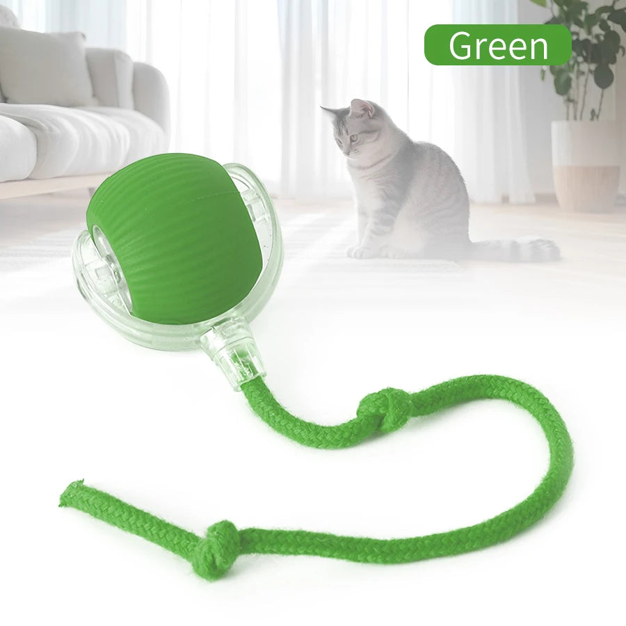 Cat and Dog Interactive Rolling Ball Toy Rechargeable Pet Electric Toy Teasing Cat Ball Teasing Dog Ball Automatic Rolling