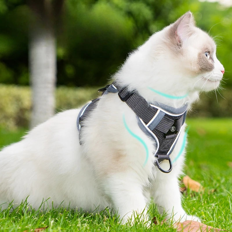 New No Pull Dog Harness and Leash Set Adjustable Pet Harness Vest for Small Dogs Cats Reflective Dog Chest Strap Lead Walking