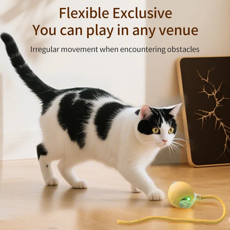 Cat and Dog Interactive Rolling Ball Toy Rechargeable Pet Electric Toy Teasing Cat Ball Teasing Dog Ball Automatic Rolling