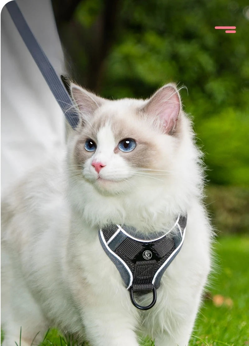 New No Pull Dog Harness and Leash Set Adjustable Pet Harness Vest for Small Dogs Cats Reflective Dog Chest Strap Lead Walking