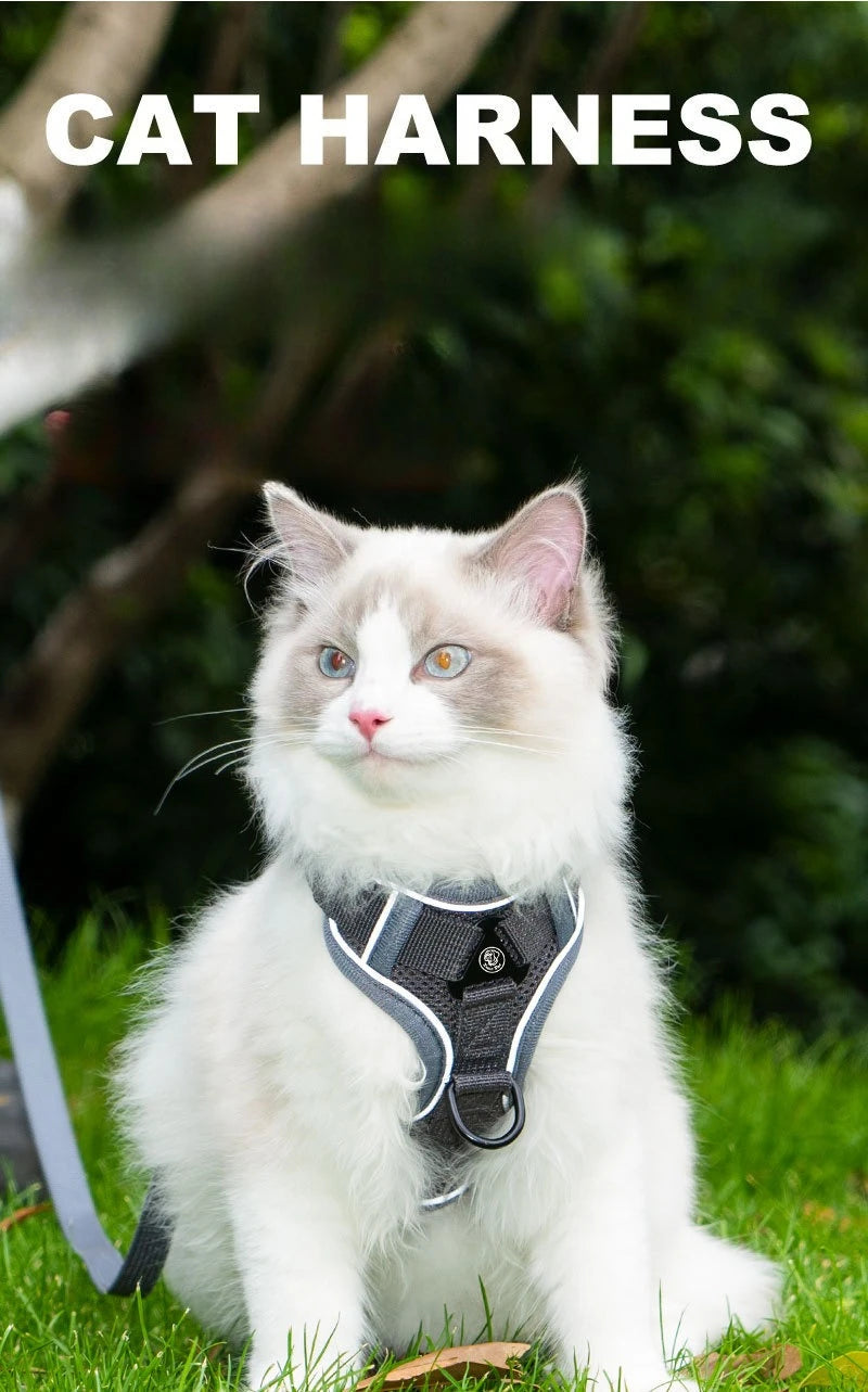 New No Pull Dog Harness and Leash Set Adjustable Pet Harness Vest for Small Dogs Cats Reflective Dog Chest Strap Lead Walking