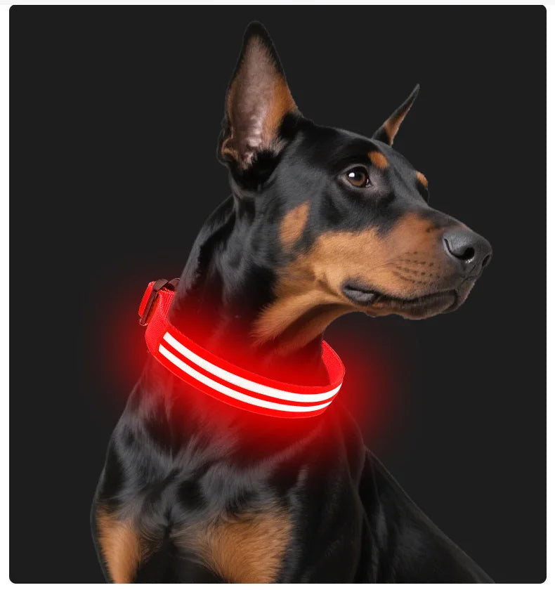 Light Up Dog Collar for Night Walk Color LED Glowing Pet Safety Collar Rechargeable Dog Necklace with Dog Harness Dog Leash Ring