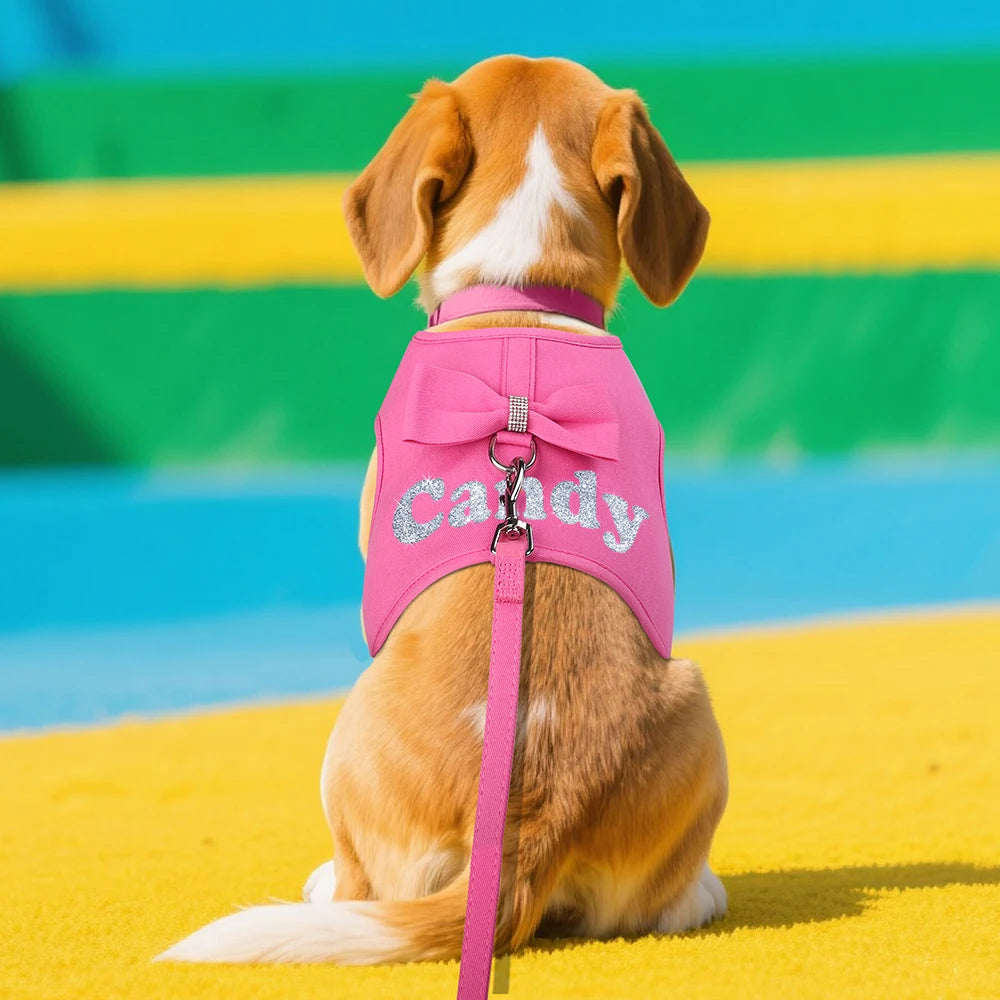 Personalized Dog Harness and Leash Set Free Print Name Pet Vest Harness Lead with Cute Bowtie for Small Medium Dogs Cats Pug