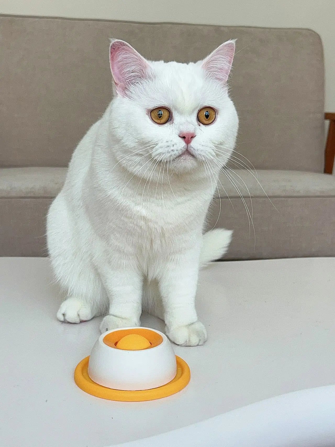 Anti-Spill Slow Food Licking Toy, Interactive Distracting Entertainment Toy, Self-amusing Feeding Tool for Kittens Puppies