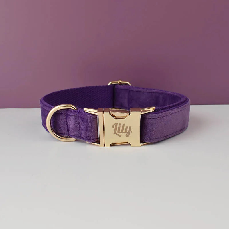 Velvet Collar Free Engrave Dog Collar Leash For Medium Big Pet Necklace Dog Accessories Dog Collars