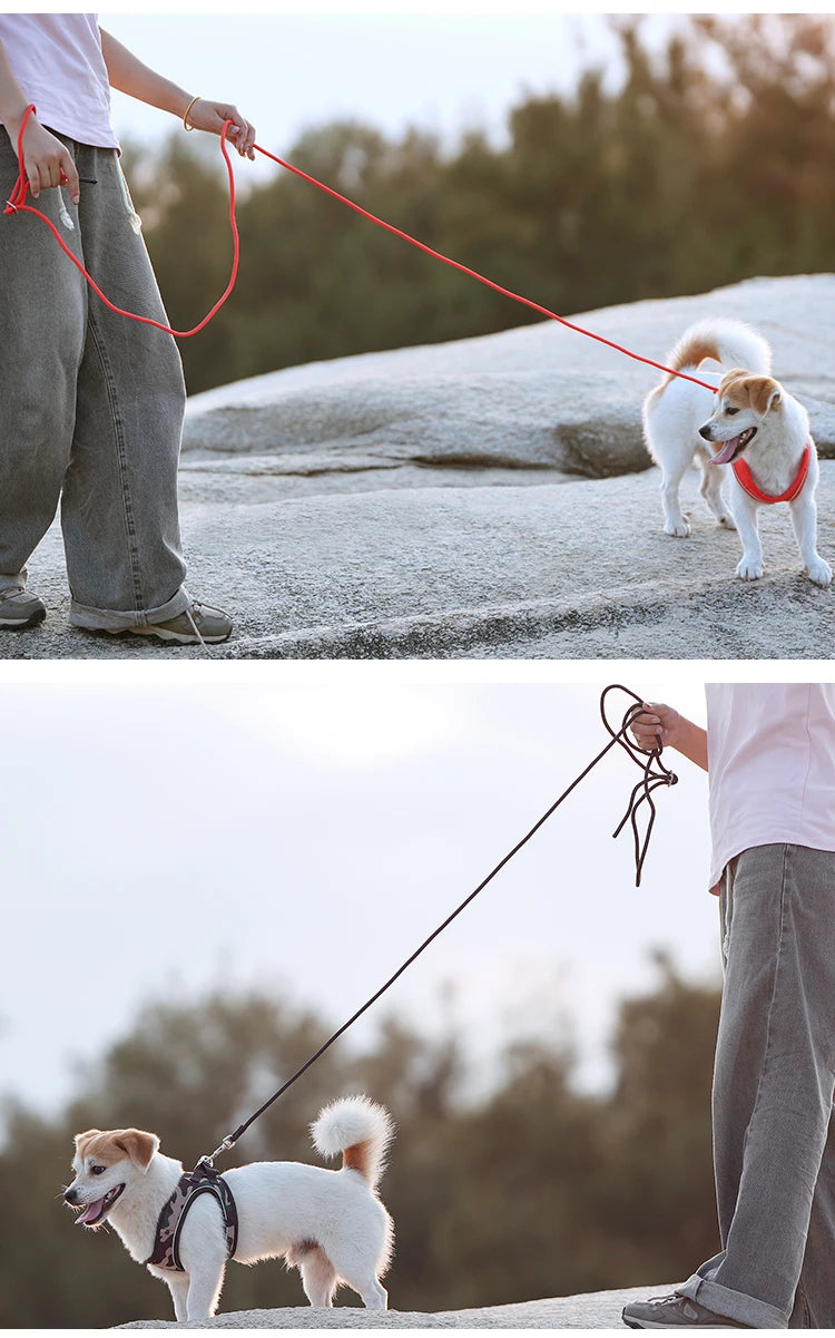 Dog Harness Leash Set for Small Medium Dog Adjustable Reflective Puppy Cat Harness pet Vest Chihuahua Dachshund Outdoor Walking