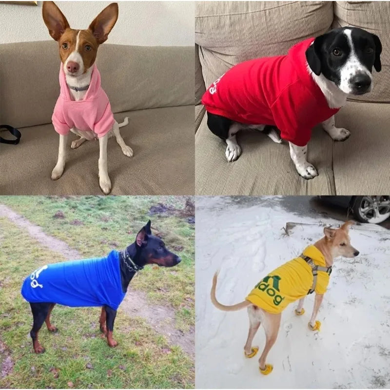 Dogs Cats Soft Hoodie Sweatshirt with Letters Autumn Winter Pet Warm Coat for Medium Large Dogs Comfortable Dogs Clothes Fashion