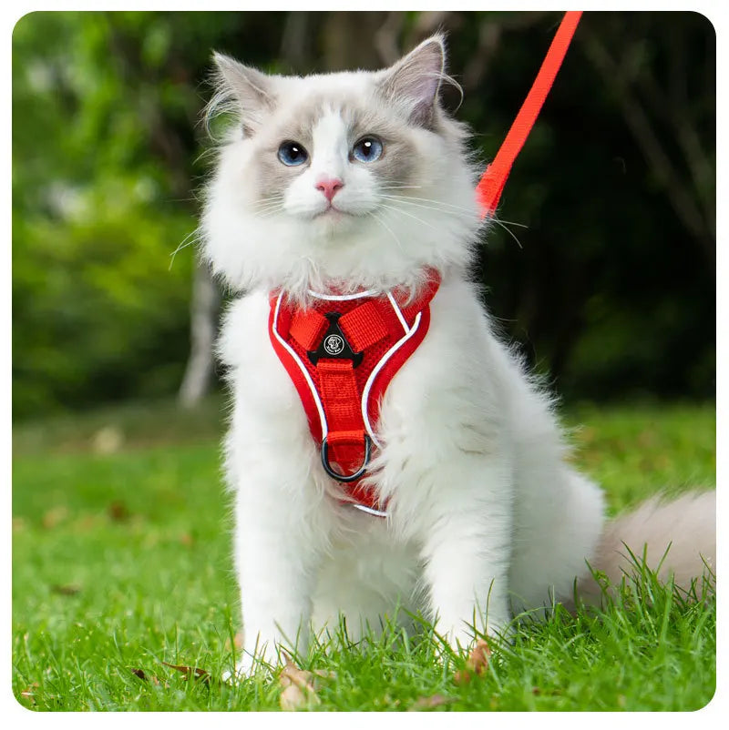 New No Pull Dog Harness and Leash Set Adjustable Pet Harness Vest for Small Dogs Cats Reflective Dog Chest Strap Lead Walking